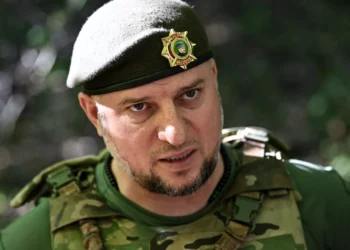 Алаудинов рассказал, как ВСУ вредят мирным жителям в Курской области