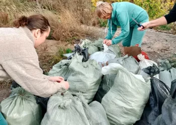 люди убирают мусор