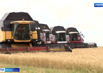 Вести. Татарстан. Местное время (29.09.24 14:30)