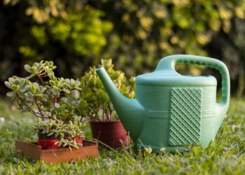 За какие растения могут оштрафовать дачников