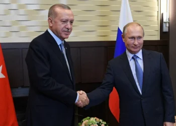 Путин и Эрдоган обсудят газовый «хаб» на саммите БРИКС в Казани