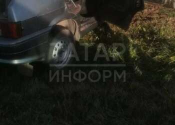 В Татарстане КамАЗ снес крышу легковушке