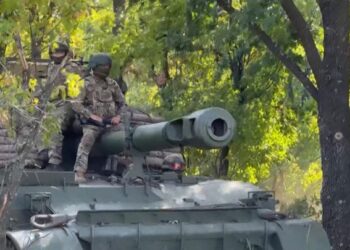 Российские военные освободили поселок Цукурино в ДНР