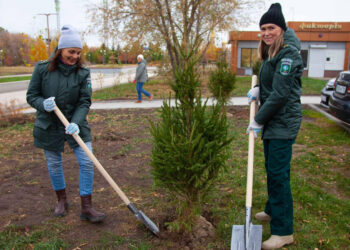 В Нижнекамске в рамках экоакции высадили 975 деревьев и кустарников