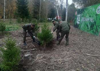 сотрудники Минлесхоза РТ сажают деревья