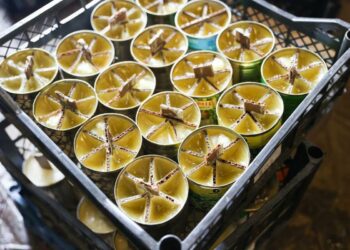 Власти Альметьевского района закупили 1,6 тонны парафина для производства окопных свечей