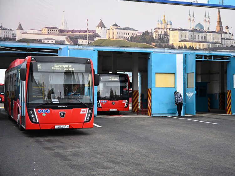 новые автобусы