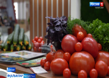 «Авыл сулышы» сәхифәсе