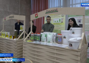 Татарстанның көньяк-көнчыгыш районнары белгечләре ни өчен Азнакайга җыелган?