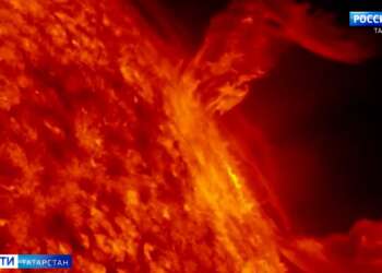 Корейские голубцы, карп в глине и татарские блюда: чем будут кормить гостей саммита БРИКС в Казани