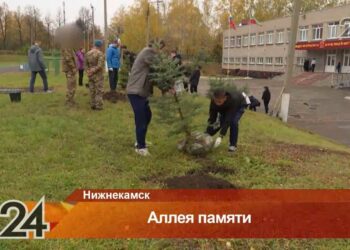 В Нижнекамске школьники и бойцы СВО высадили ели в честь погибших героев