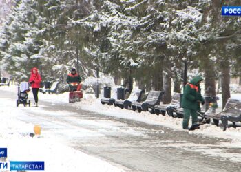 Метшин рассказал, как в Казани будут решать проблему нехватки дворников