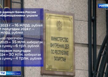 В Татарстане увеличилось число жалоб на кибермошенников