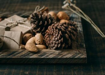 В Татарстане по нацпроекту заготовили 91% семян по нацпроекту