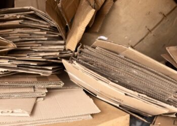 В Калужской области собрали больше десяти тонн макулатуры по нацпроекту