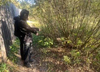 досмотр подростка