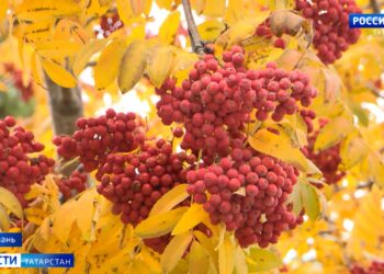 Татарстанцам рассказали, сколько в республике продержится теплая погода