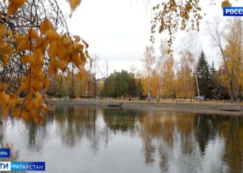 Событие, которое войдет в историю: итоги саммита БРИКС подводят в республике