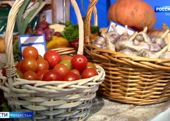 В Татарстане наблюдается снижение цен на борщевой набор