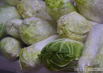 8 октября день Сергея Капустника: традиции и значение