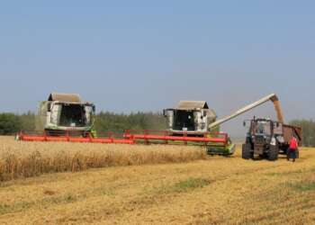В Татарстане планируется собрать не менее 2 млн тонн сахарной свеклы