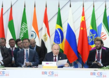 По итогам саммита БРИКС утверждено сотрудничество по экопрограммам