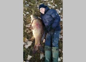 В Татарстане поймали карпа весом 29 кг