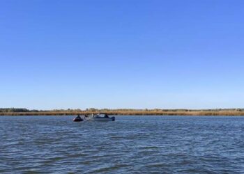 В Татарстане с начала года возбуждено 22 уголовных дела о браконьерстве