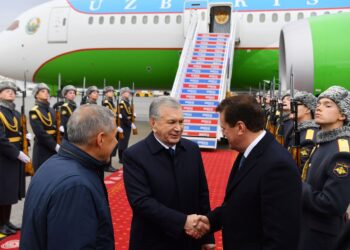 В Казань для участия в мероприятиях саммита БРИКС прибыл Президент Узбекистана