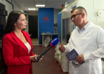 Татарстанские ученые создают полимеры костных имплантатов