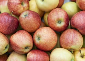 польза яблок