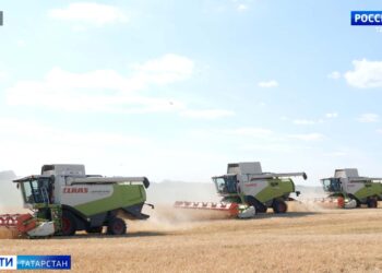 уборка зерновых