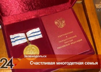 Многодетную мать из Зеленодольска наградили медалью ордена «Родительская слава»