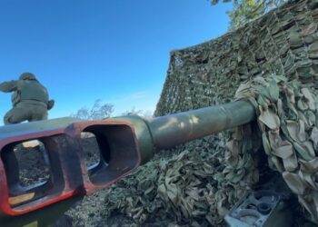 ВС РФ освободили Леонидовку, Шахтерское и Новоукраинку в ДНР