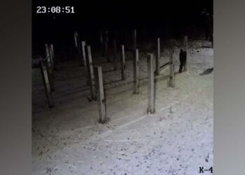 Россия 24. Вести. Татарстан (13.11.24 8:00)