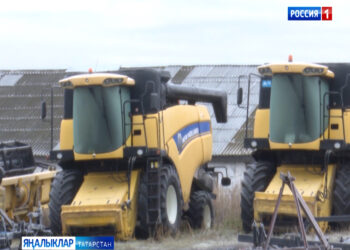 Син- минем гомерлек юлдашым