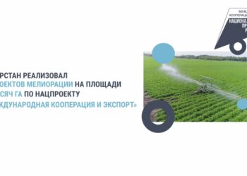 В Татарстане в рамках нацпроекта реализовали пять проектов мелиорации