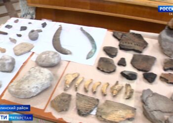 В Бавлинском районе обнаружили уникальные артефакты бронзового века