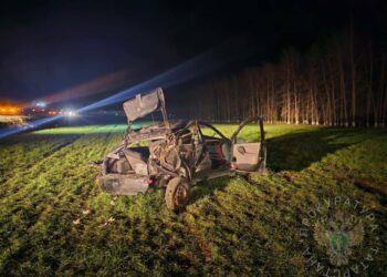 В Тетюшском районе произошло смертельное ДТП