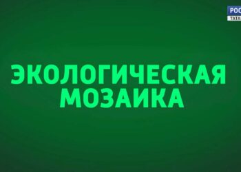 Экологическая мозаика (05.11.24)