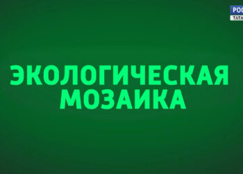 Экологическая мозаика (22.11.24)