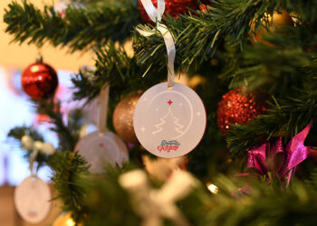 В Казани стартовала благотворительная акция «Елка желаний»