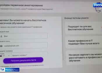 Кредитная ловушка: студент из Казани наткнулся на мошенников в поисках бесплатного обучения