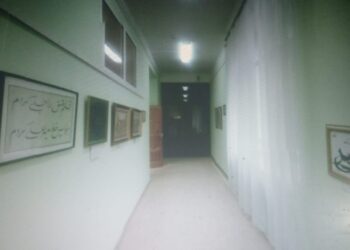 Фидакарьләр  (05.11.24)