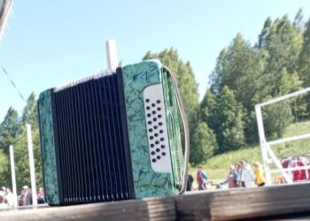 Уйнагыз, гармуннар (06.01.25)