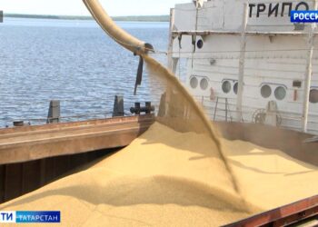 В Татарстане экспорт зерна водным транспортом с начала навигации вырос втрое