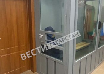 В Казани на 48 часов продлили арест директора базы, собаки которой загрызли женщину