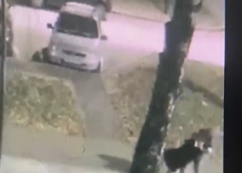 В Нижнекамске полицейские ищут мужчину, нападавшего на девушек