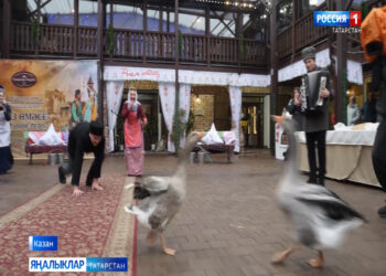 Казанда каз өмәсе