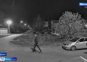 КФУ откроет еще один филиал в арабской стране